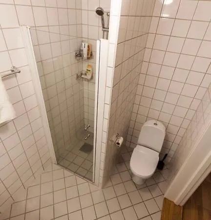 公寓 S, City Center Apartment,2 Bedrooms Drg14 奥斯陆