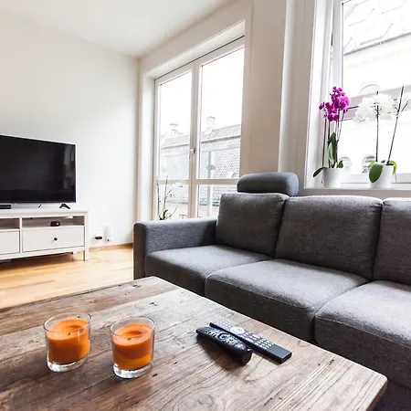 S, City Center Apartment,2 Bedrooms Drg14 公寓 奥斯陆